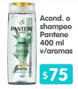 Arteli Pantene shampoo oferta