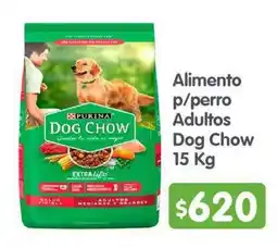 Arteli Purina Dog Chow oferta