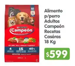 Arteli Purina Campeón Recetas Caseras oferta