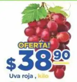 Super Gutiérrez Uva roja oferta