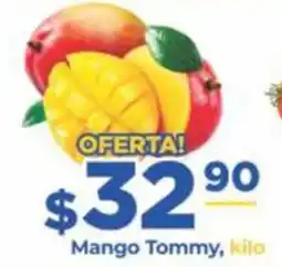 Super Gutiérrez Mango tommy oferta