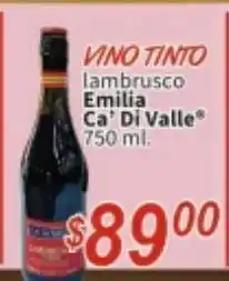 Vino tinto emilia ca`di valle 750ml