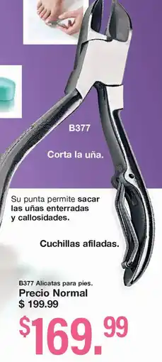 Arabela B377 Alicatas para pies oferta
