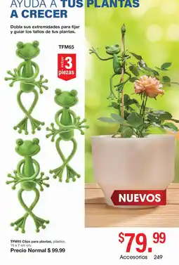 Arabela Clips para plantas oferta