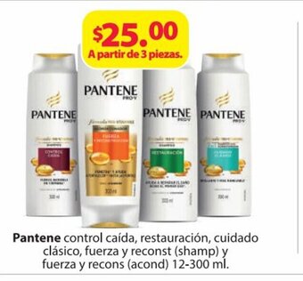 Zorro Pantene control caida, restauracion, cuidado clasico, fuerza y reconst (shamp) y fuerza y recons (acond) 12-300ml oferta