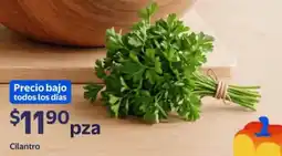 Walmart Express Cilantro oferta