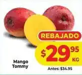 HEB Mango - tommy oferta