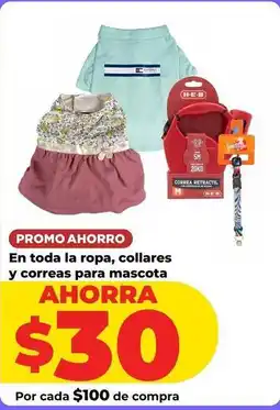 HEB Fun - ropa, collares y correas para mascota oferta