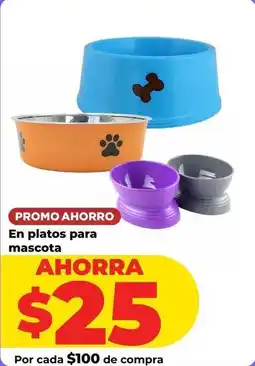 HEB Platos para mascota oferta