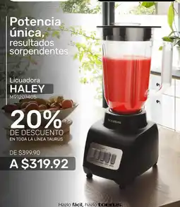 Woolworth Taurus - licuadora oferta