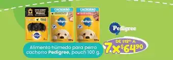 Pedigree - alimento húmedo para perro cachorro, pouch 100 g