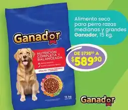 Soriana Híper Ganador - alimento seco para perro razas medianas y grandes oferta
