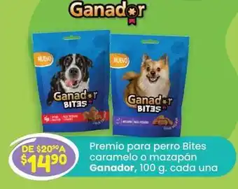 Ganador - premio para perro bites