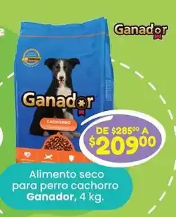 Soriana Híper Ganador - alimento seco para perro cachorro oferta