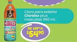 Soriana Híper Cloralex - cloro para exterior plus mascotas oferta