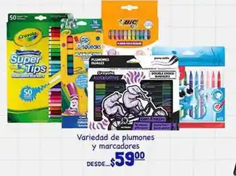 Plumones y marcadores
