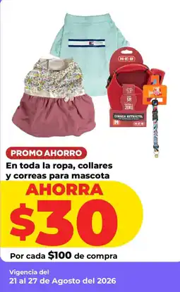 HEB En toda la ropa, collares y correas para mascota oferta