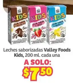 Soriana Híper Valley Foods Kids oferta