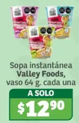 Soriana Híper Valley Foods sopa instantánea oferta