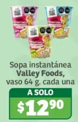 Soriana Híper Valley Foods sopa instantánea oferta