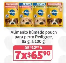 Soriana Híper Pedigree Alimento húmedo pouch para perro oferta