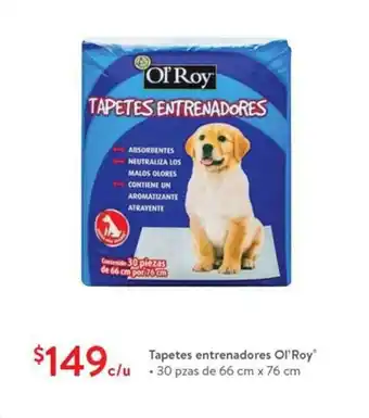 Walmart Tapetes entrenadores Ol'Roy oferta