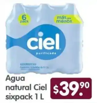 Agua natural Ciel