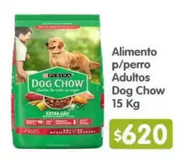 Arteli Purina Dog Chow oferta