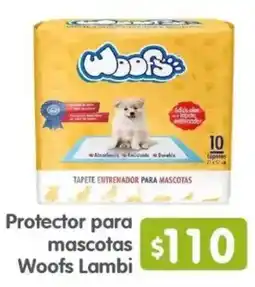 Arteli Woofs Lambi Protector para mascotas oferta