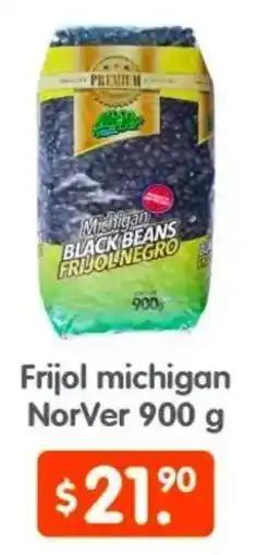 Arteli NorVer frijol michigan oferta
