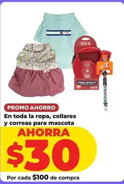 HEB Fun - ropa, collares y correas para mascota oferta