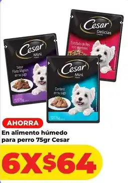 HEB Autocad - alimento húmedo para perro oferta