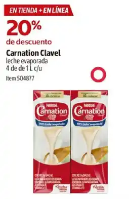 Costco Carnation Clavel oferta