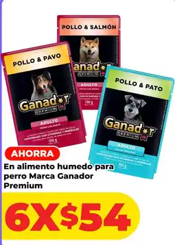 HEB Ganador Premium En alimento humedo para perro oferta