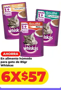 HEB Whiskas Soufflé oferta
