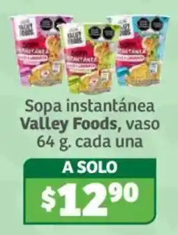 Soriana Híper Valley Foods sopa instantánea oferta