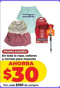 HEB Heb - ropa, collares y correas para mascota oferta