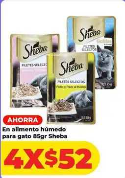 HEB Selecto - alimento húmedo para gato oferta