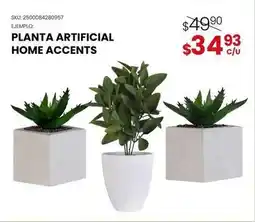 Woolworth Home accents - planta artificial oferta