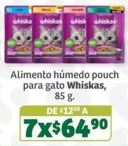 Soriana Súper Whiskas alimento húmedo pouch para gato oferta