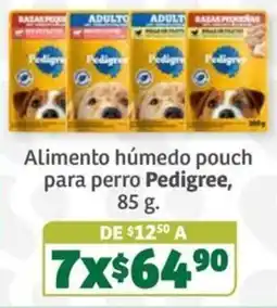 Soriana Súper Pedigree Alimento húmedo pouch para perro oferta