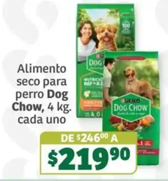 Soriana Súper Dog Chow oferta