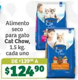 Soriana Súper Cat Chow oferta