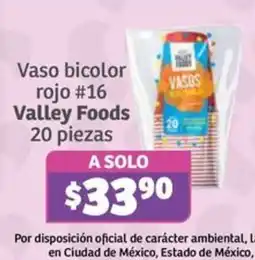 Soriana Súper Valley Foods Vaso bicolor rojo #16 oferta