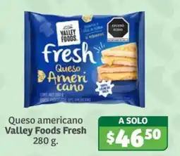 Soriana Súper Valley Foods Fresh Queso Americano oferta