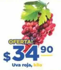 Super Gutiérrez Uva roja oferta