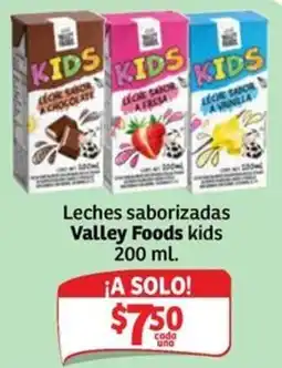 Soriana Express Valley Foods kids oferta