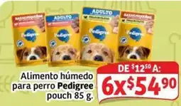Soriana Express Pedigree Alimento húmedo para perro pouch oferta