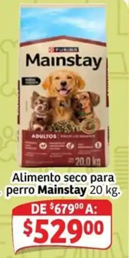 Soriana Express Mainstay oferta
