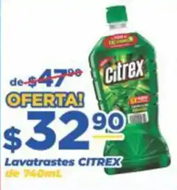 Super Gutiérrez Lavatrastes Citrex oferta